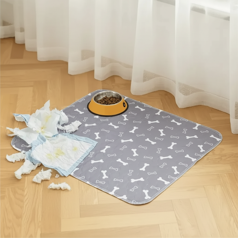 PawClean prima e dopo