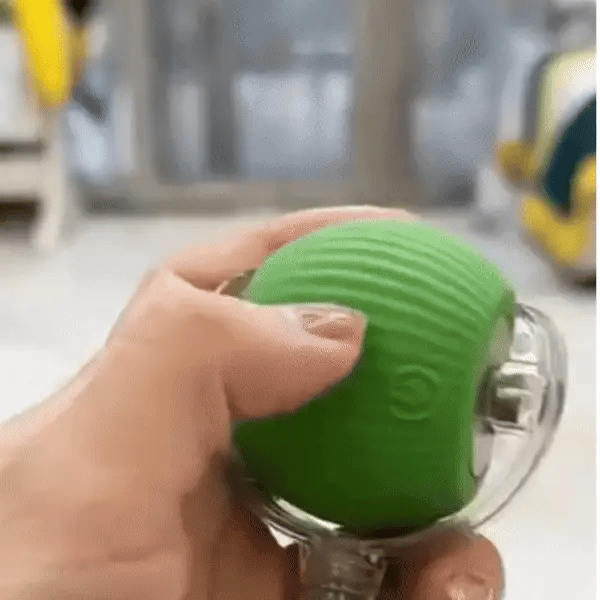 Spinner è adatto proprio a tutti gli amici a quattro zampe, ecco perchè: