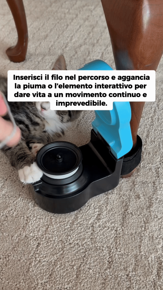 Prepara il sistema di gioco